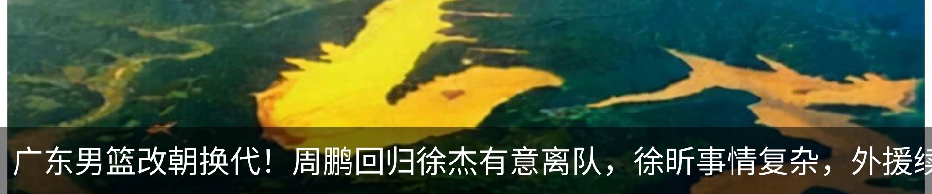行业资讯